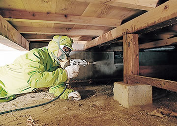 アサンテのシロアリ施工の様子